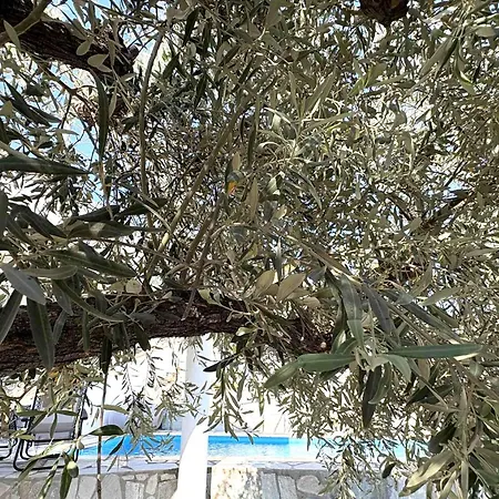 Beta Sea View With Pool 别墅 *