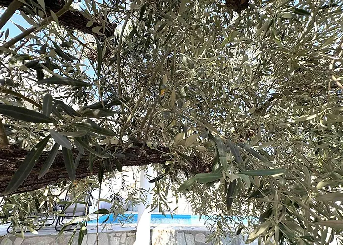 Beta Sea View With Pool וילה *