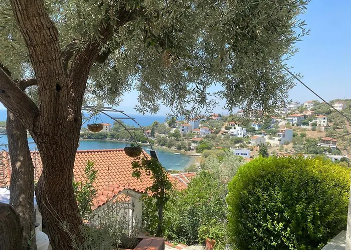 Beta Sea View With Pool וילה *